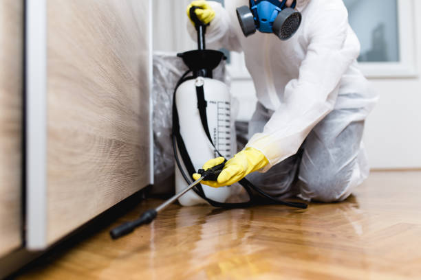 Best Pest Prevention Services  in Henderson, KY