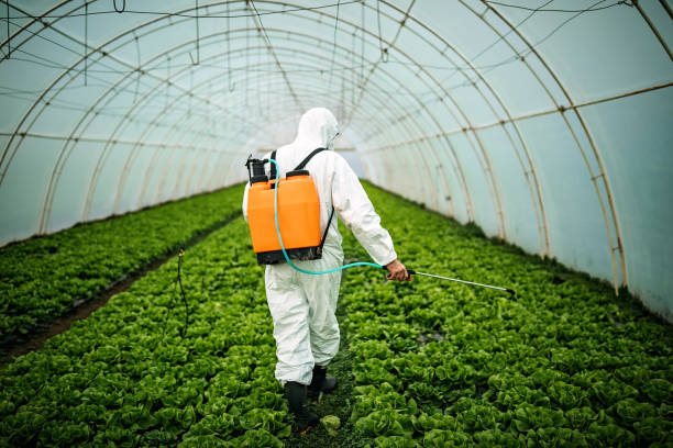 Best Pest Control Near Me  in Henderson, KY