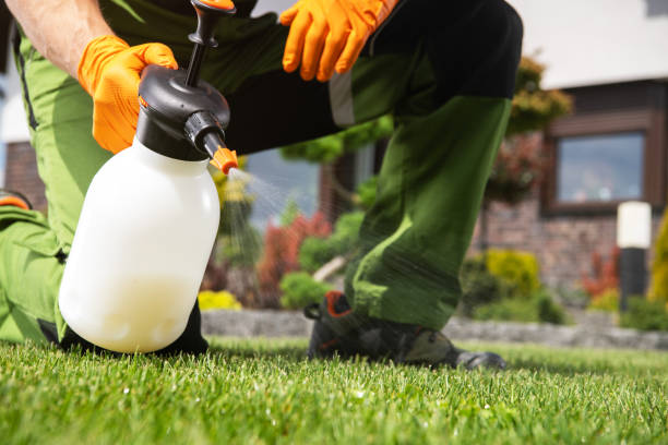 Best Best Pest Control Companies  in Henderson, KY