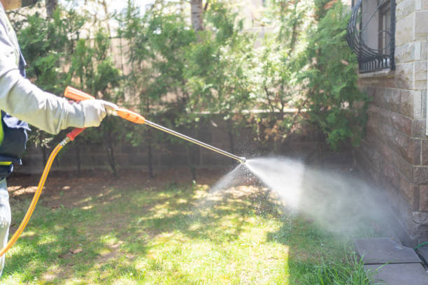 Best Flea Control Services  in Henderson, KY