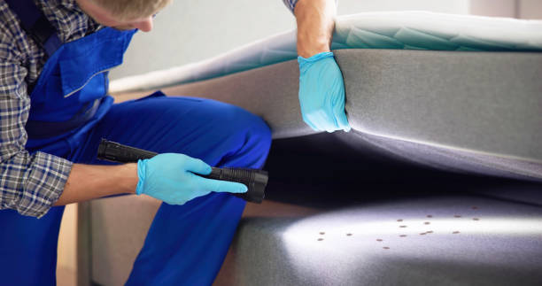 Best Emergency Pest Control  in Henderson, KY