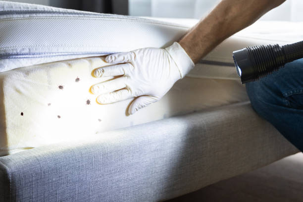 Best Pest Prevention Services  in Henderson, KY