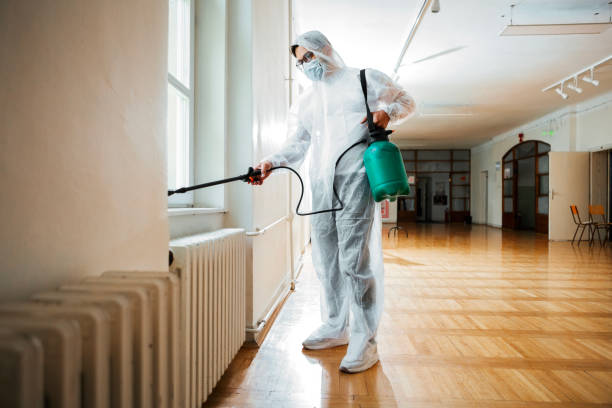 Best Pest Control for Homes  in Henderson, KY