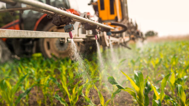 Reliable Henderson, KY Pest Control Solutions
