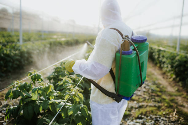 Best Local Pest Control Services  in Henderson, KY
